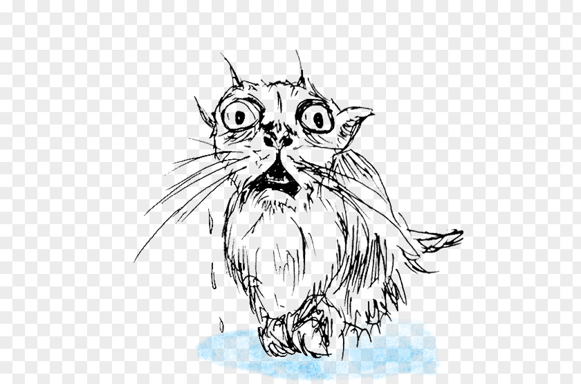 Cat Whiskers Wildcat Line Art Clip PNG