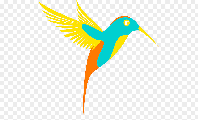 Colibri Hummingbird Clip Art PNG