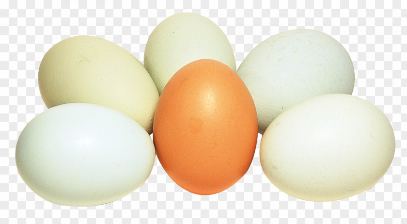 Eggs Dietary Supplement Boiled Egg Bird White PNG