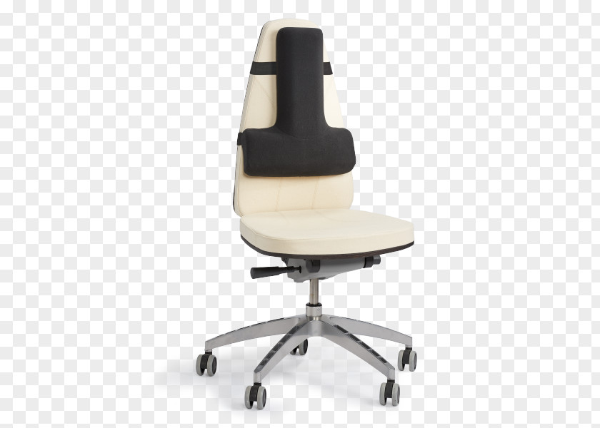 Fitness Movement Lumbar Back Brace Thoracic Vertebrae Chair Human PNG