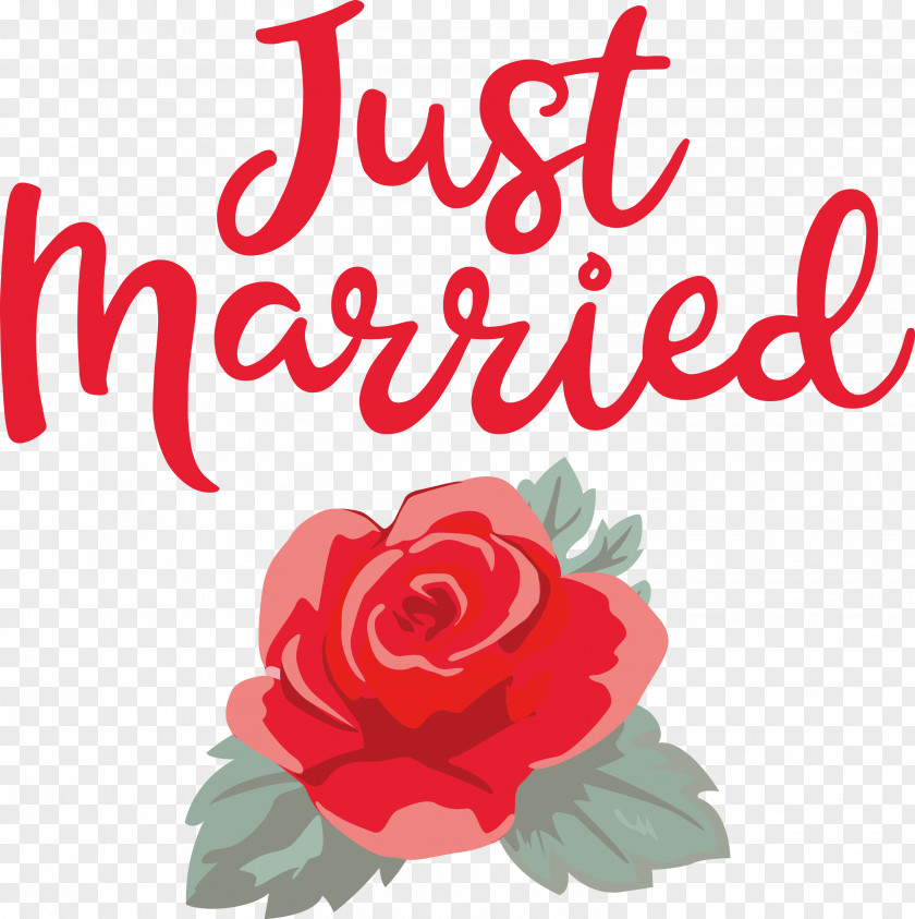 Just Married Wedding PNG