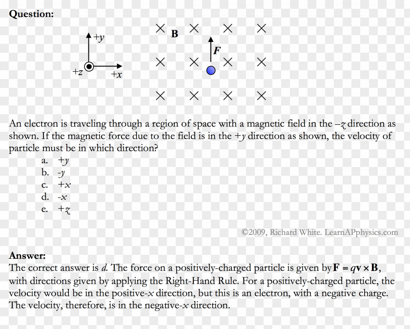 Line Document Point Angle Organization PNG