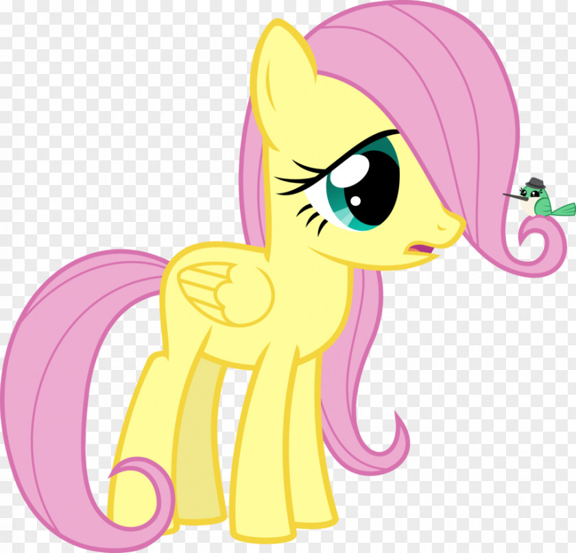 My Little Pony Fluttershy Twilight Sparkle Rarity Rainbow Dash PNG