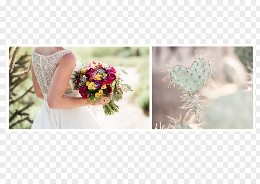 Wedding Floral Design Photography Cut Flowers PNG