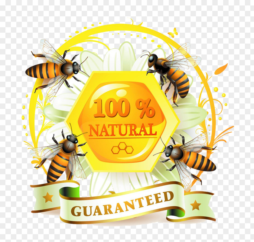 Bee Honey Label PNG