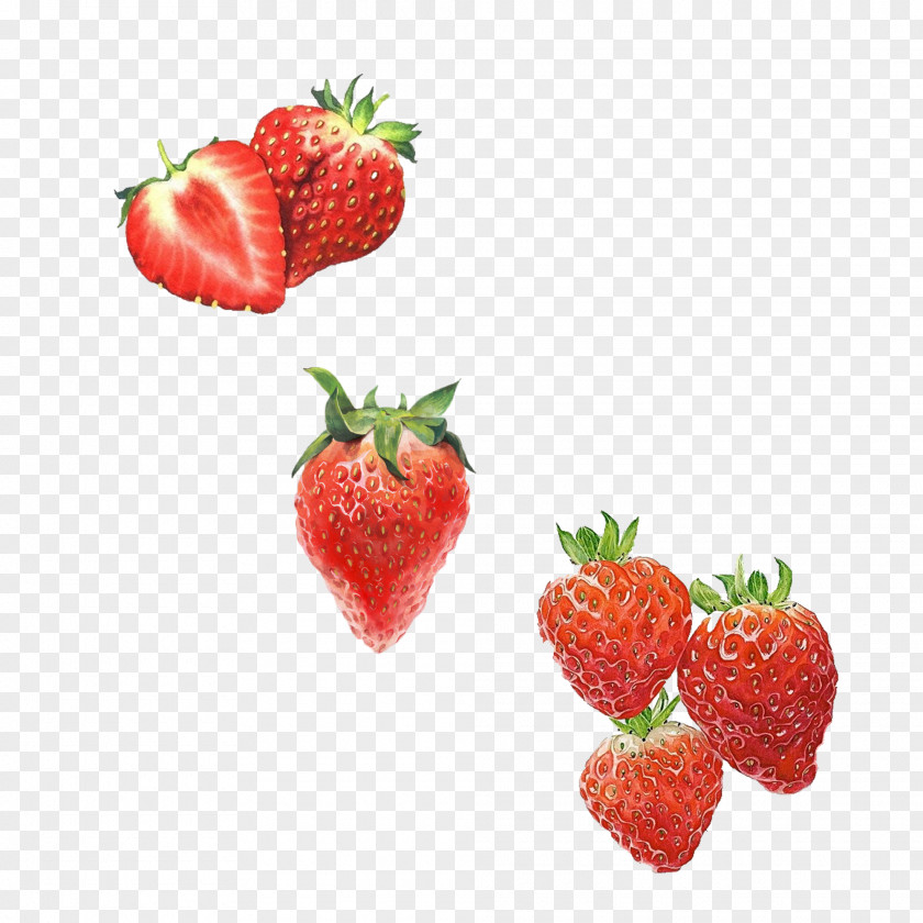 Free Hand-painted Strawberry Pull Material Amorodo Drawing Computer File PNG