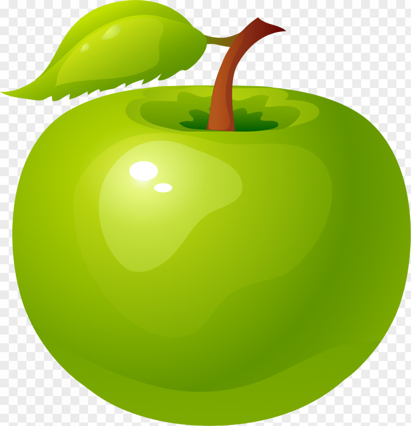 Hand Painted Green Apple Granny Smith PNG