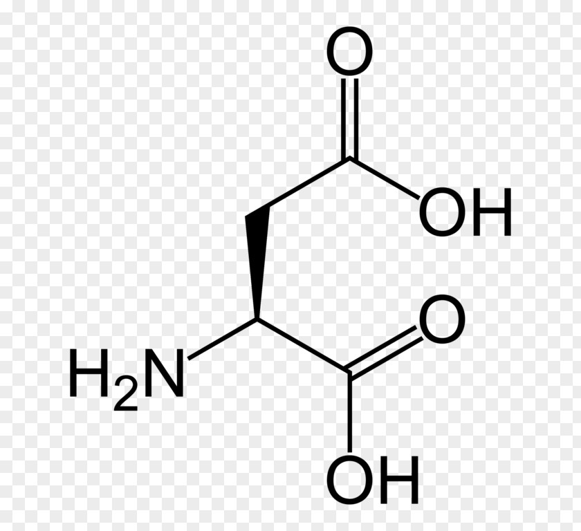 Monomer Nucleic Acid Aspartic Amino PNG