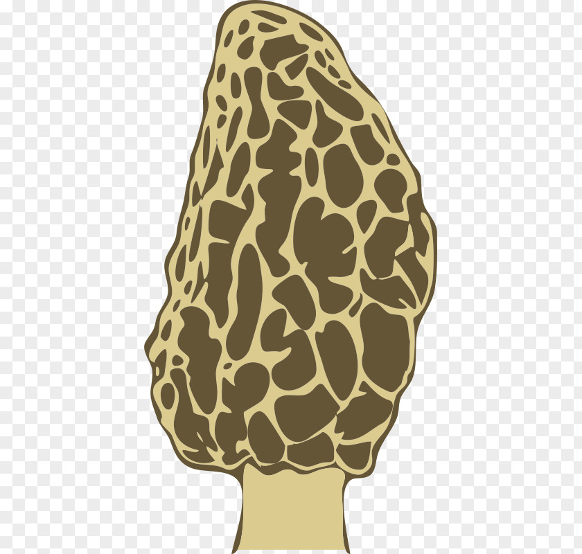 Mushroom Morchella Fungus Clip Art PNG