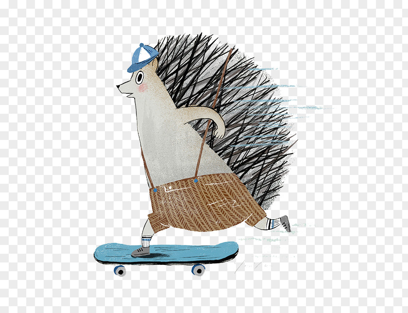 Skateboard Hedgehog Illustration Packaging And Labeling Art PNG