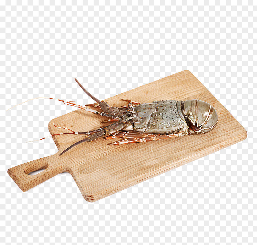 Australian Wild Small Dragon And Case Board White Wine Australia Seafood Palinurus Elephas PNG