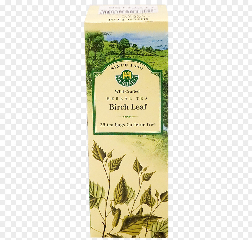 Betula Pendula Herbal Tea Bag Grocery Store PNG