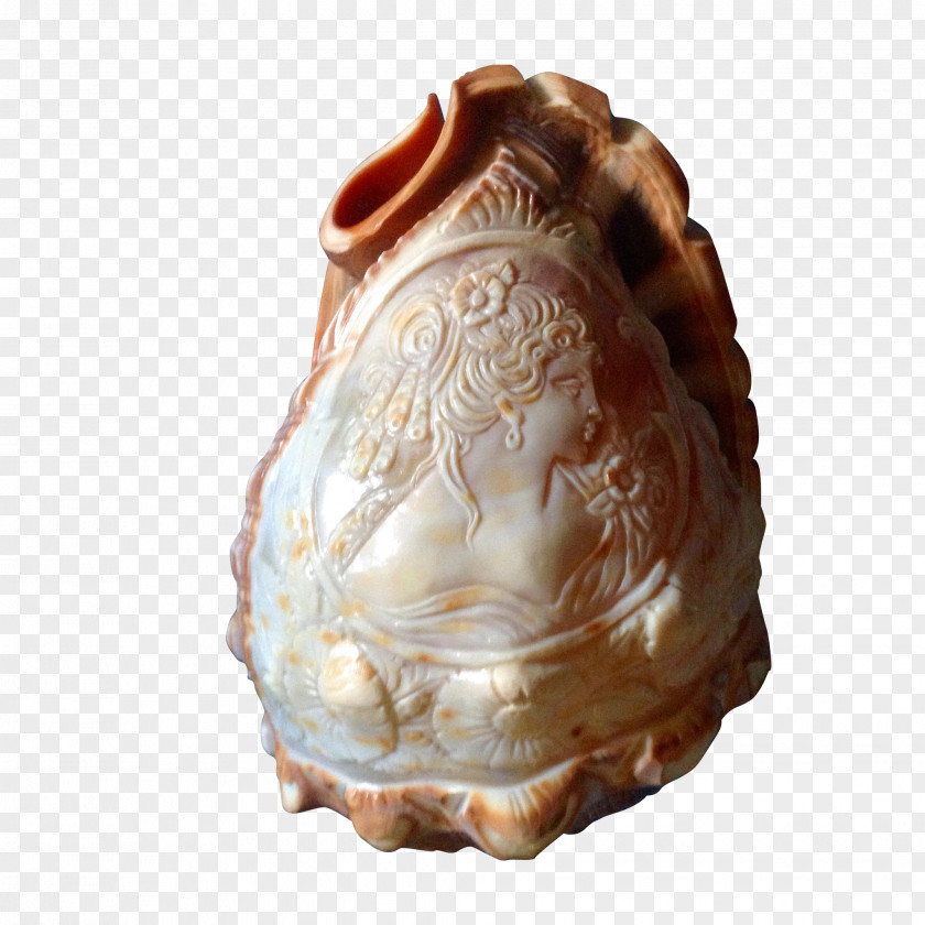 Conch Cameo Shankha Seashell Victorian Era PNG