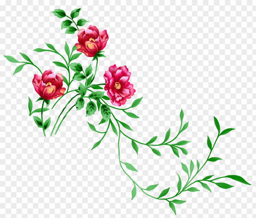 Floral Image Flower Clip Art PNG