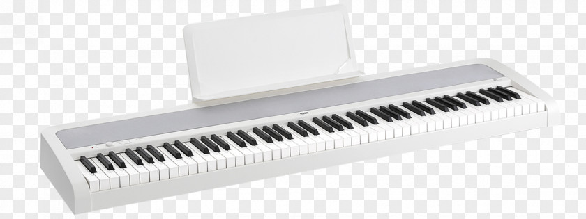 Piano Korg B1 Digital Musical Instruments PNG