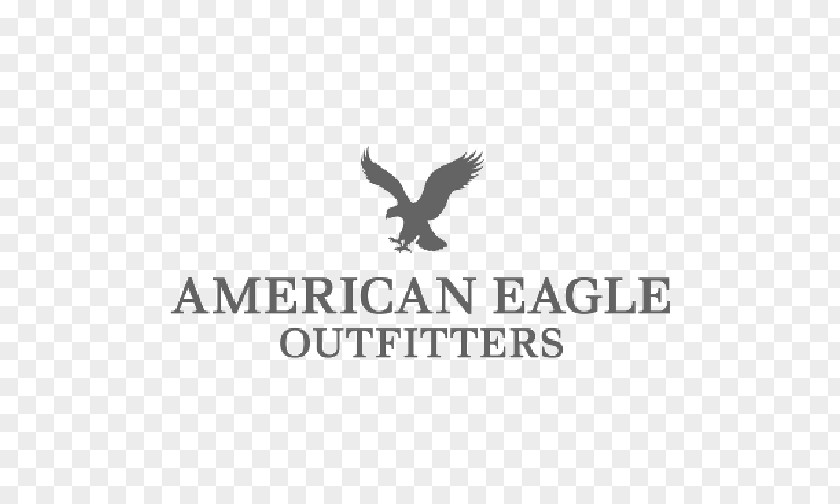 T-shirt American Eagle Outfitters United States Retail Clothing Accessories PNG