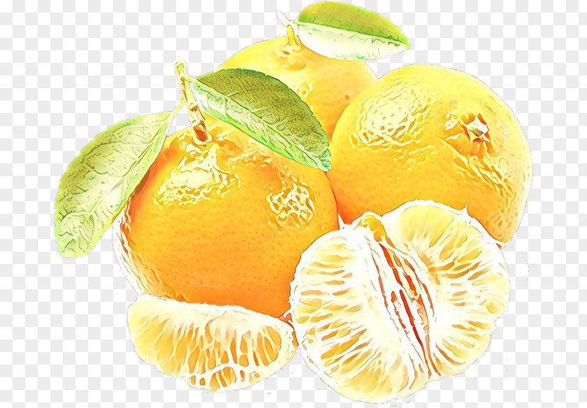 Yellow Rangpur Fruit Citrus Food Plant Mandarin Orange PNG