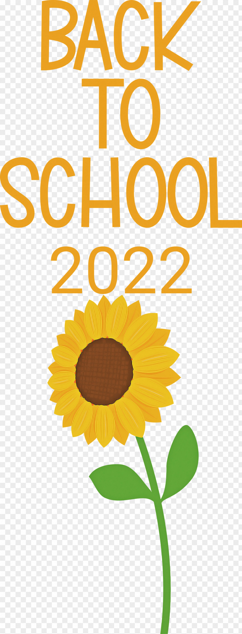 Back To School 2022 PNG