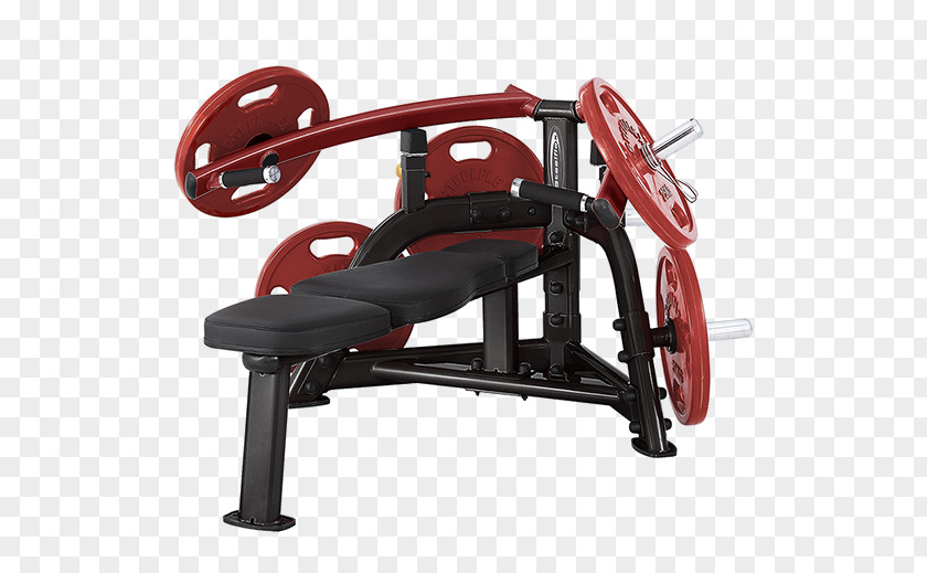 Dumbbell Bench Press Fitness Centre Power Rack Strength Training PNG