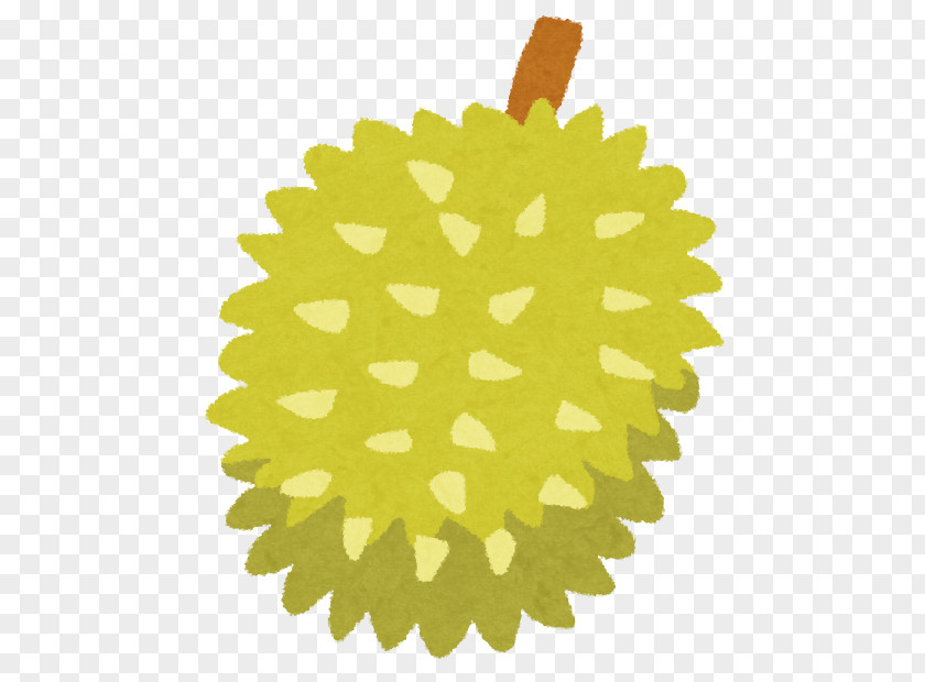 Durian Stock Photography Desktop Wallpaper PNG