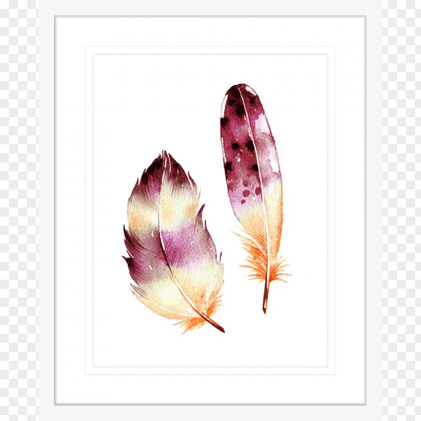 Feather Watercolor Clothing Accessories Facebook Jewellery PNG