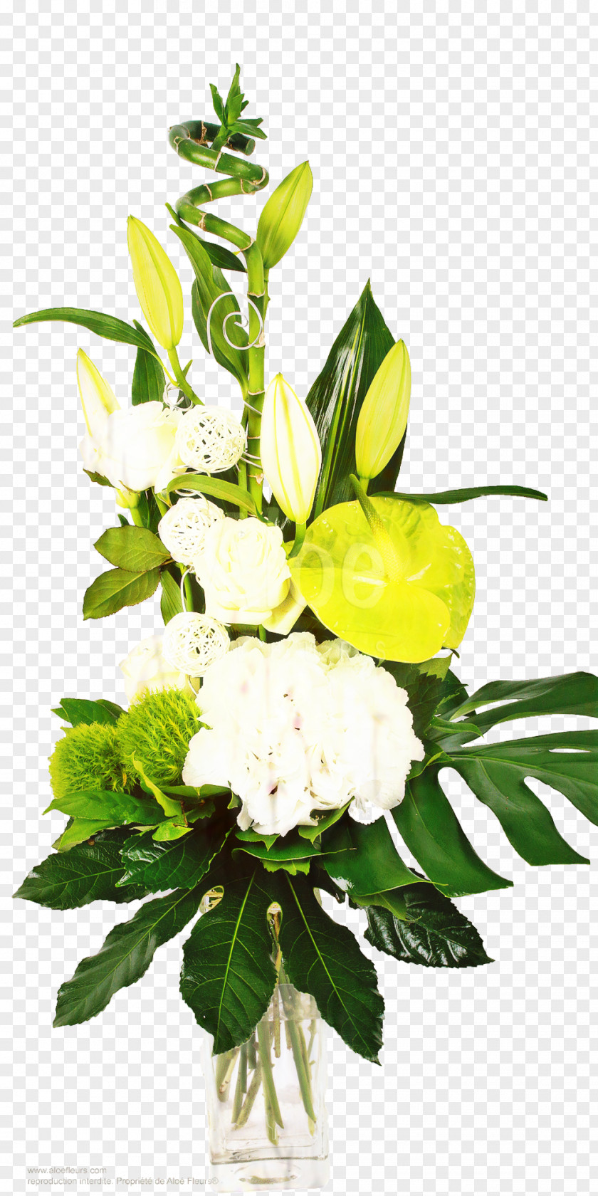 Floral Design Flower Bouquet Cut Flowers Aloe Forbach PNG