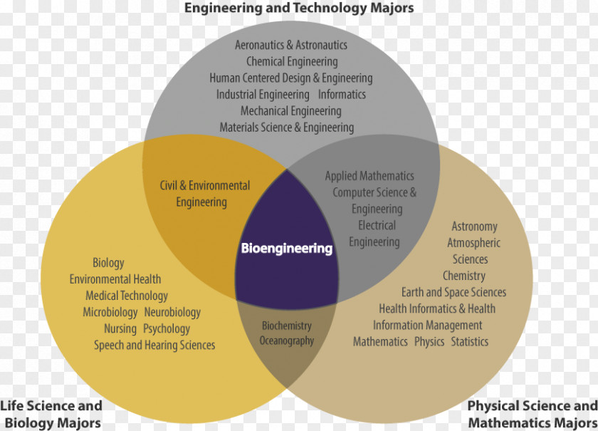 Biological Medicine Advertisement University Of Washington Department Bioengineering Engineering Science Biomedical PNG