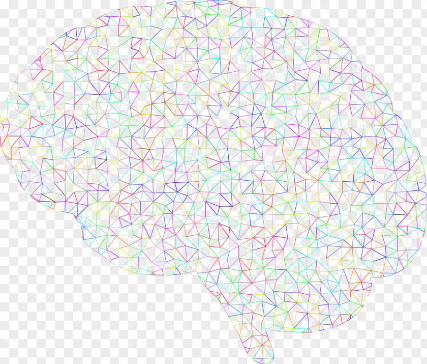 Brain Line Organism Point PNG
