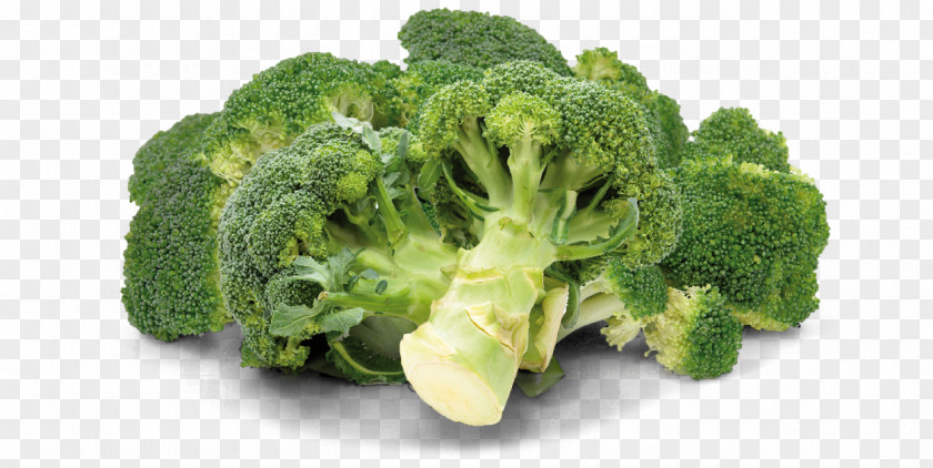Broccoli Vegetarian Cuisine Vegetable Rapini PNG