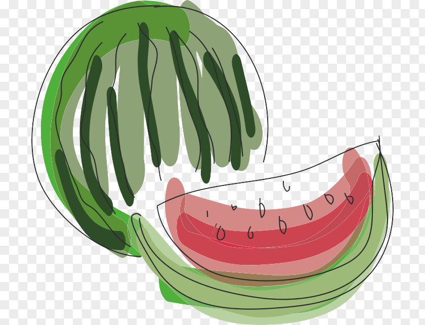 Hand-painted Watermelon Illustration PNG