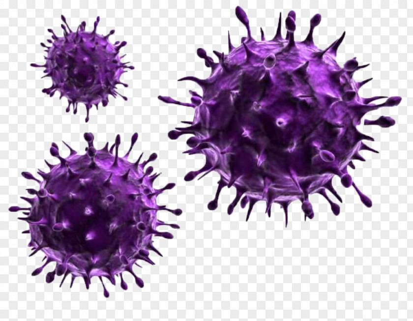 Influenza A Virus Infection Pathogen PNG