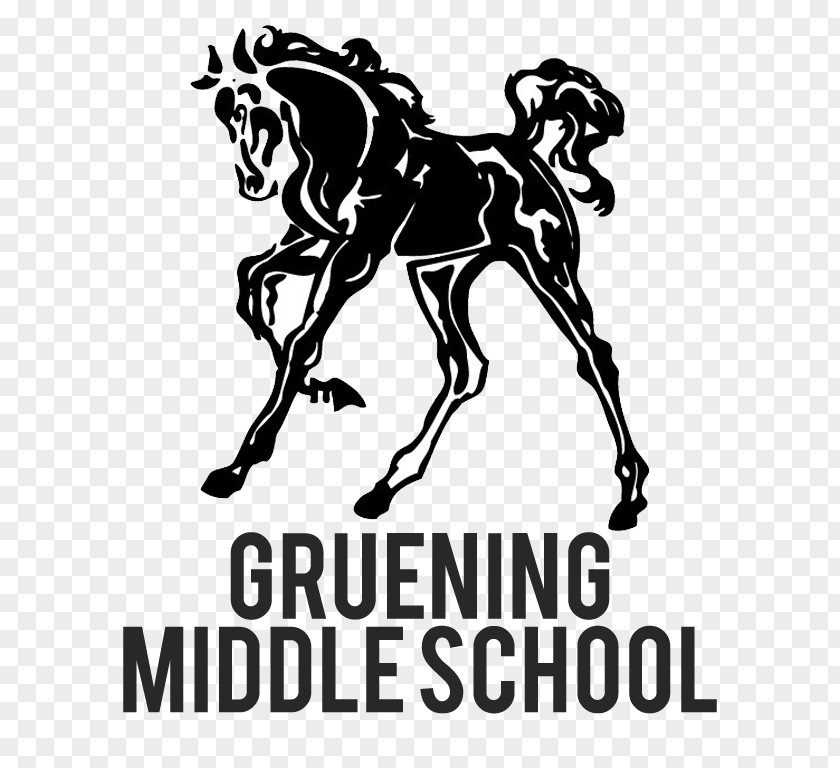 School Gruening Middle District Student PNG
