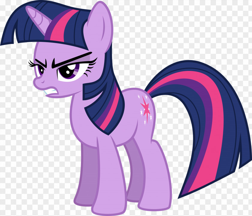 Sparkle Twilight Rainbow Dash Rarity Princess Celestia Pony PNG