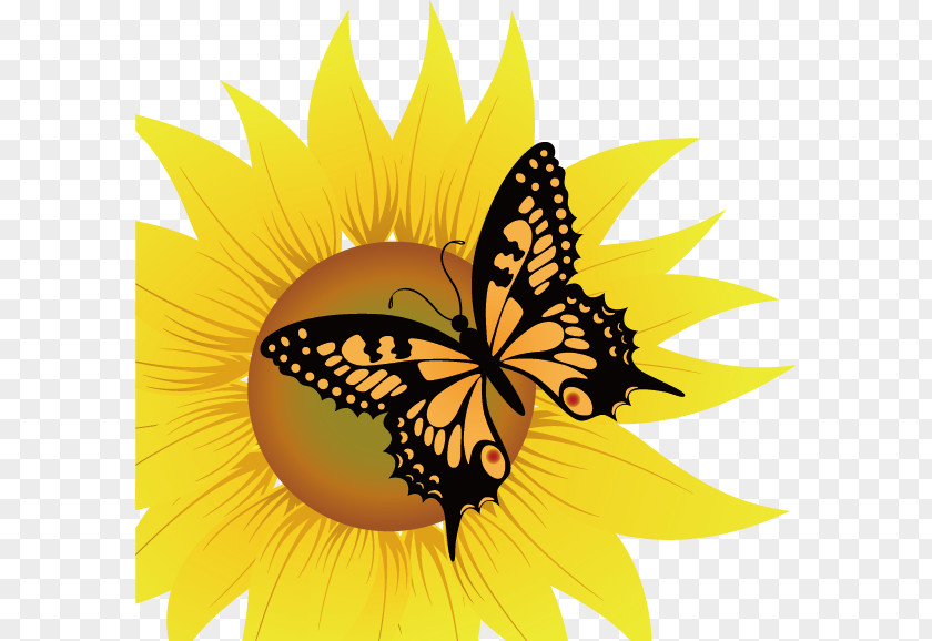 Sunflower Vector Material Common Download Clip Art PNG
