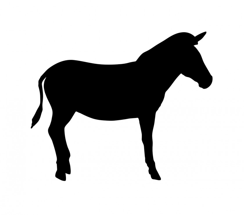 Zebra American Quarter Horse Silhouette Clip Art PNG
