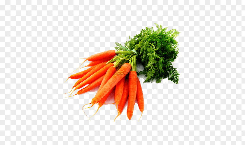 Carrot Seed Oil Vegetable Juice PNG