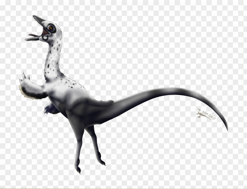 Compsognathus Poster Dinosaur Velociraptor Bird Science PNG