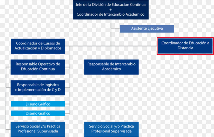 Documentos School Of Architecture, UNAM National Autonomous University Mexico Organizational Chart PNG