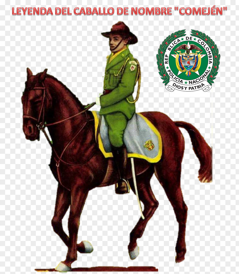 Horse National Police Of Colombia Corps Mounted PNG