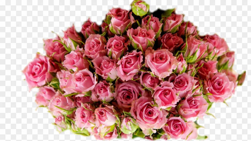 Tea Garden Roses Herbal Магазин китайского чая NewTea.ua Cabbage Rose PNG