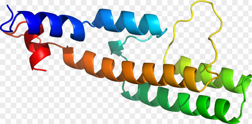 Design Graphic DNA Ligase Logo Clip Art PNG