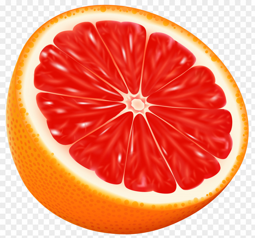 Half Red Orange Vector Clipart Image Clip Art PNG
