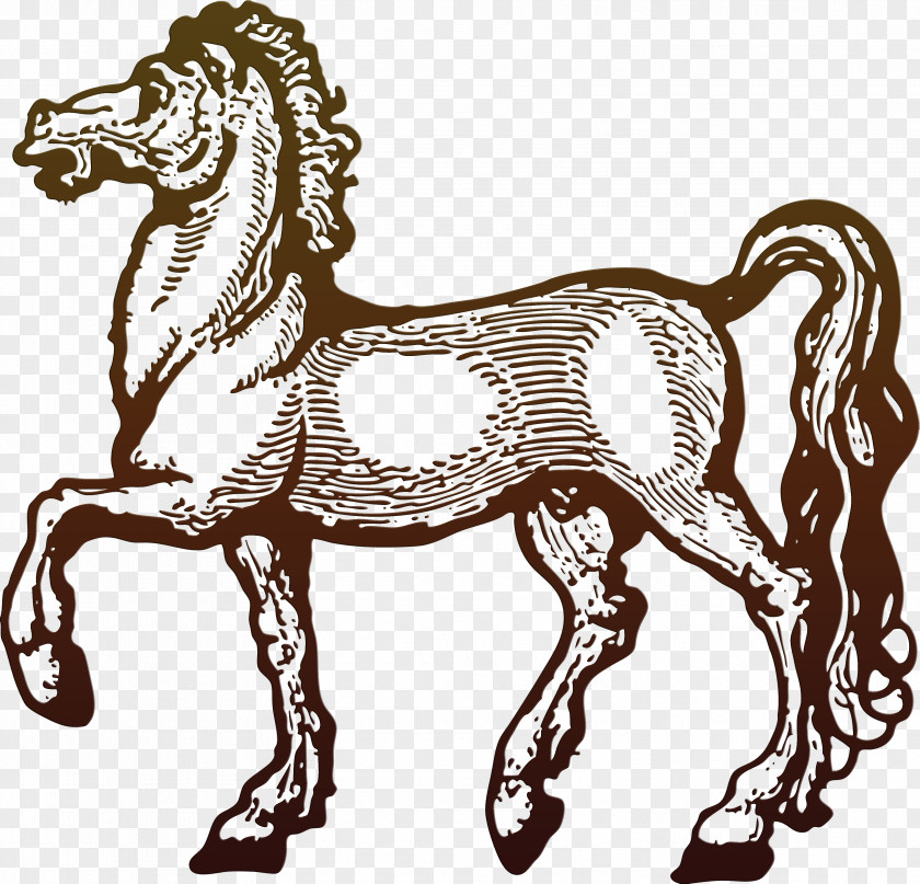 Horseshoe Horse Pony PNG