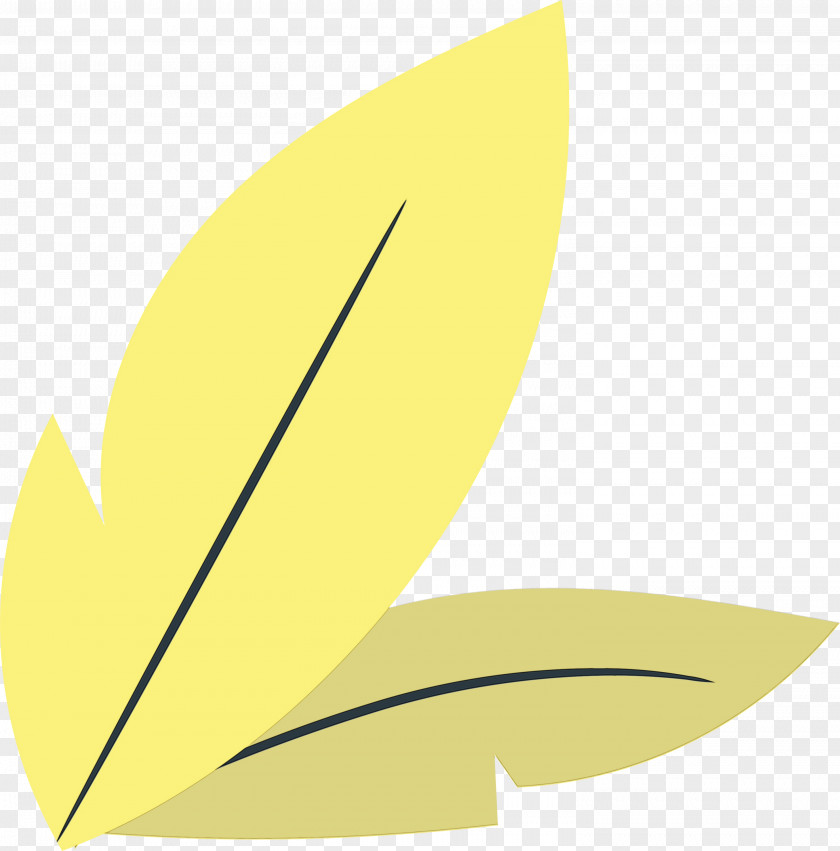 Leaf Yellow Font Line Meter PNG