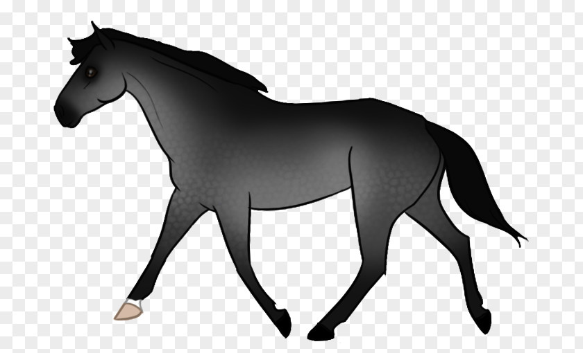 Mustang Mane Pony Stallion Rein PNG