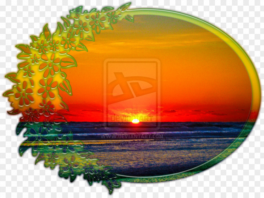 Sunrise Image Photograph Flower Sunset PNG