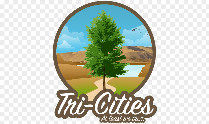Tree Wood Mug Logo Clip Art Landscaping PNG