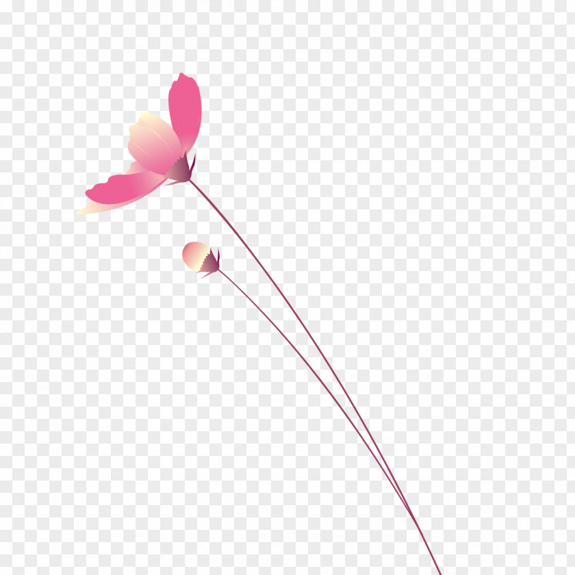 Bouquet Of Pink Flowers Flower PNG