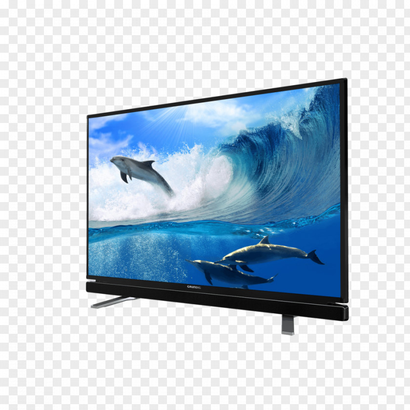 Dolphin Desktop Wallpaper Television Spinner YouTube PNG