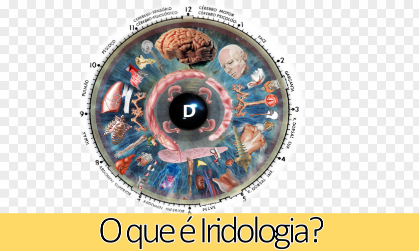 Eye What Is Iridology Health Medical Diagnosis PNG